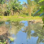 Bán đất 1.200m² Ô Việt Ê Pan Bình Chánh - Ảnh thu nhỏ 2