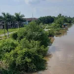 Nền ven sông và lộ nhựa khu công nghiệp Bình Minh (ngay cầu Cần Thơ) giá 1 tỷ 350 - Ảnh thu nhỏ 2