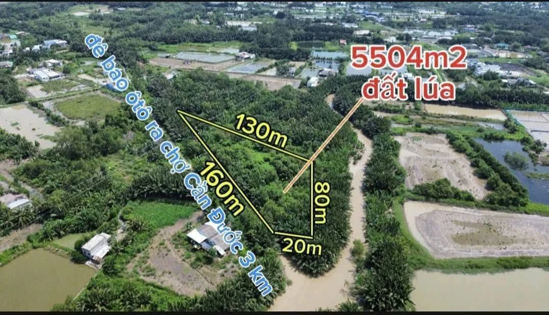 Bán lô đất 5504m2 mặt tiền đê bao Cần Dước - Ảnh thu nhỏ 4