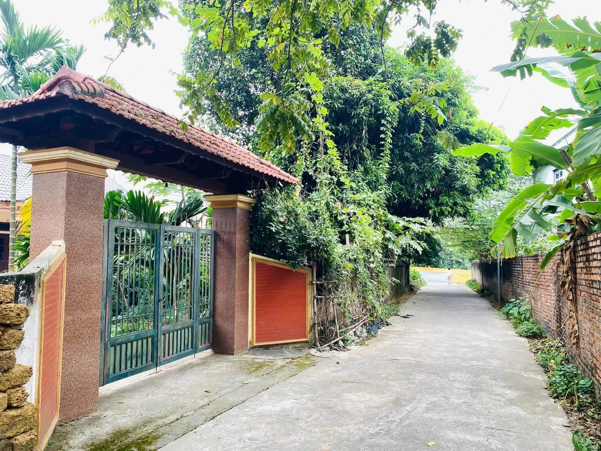 Bán đất Phường Nông Trang, Phú Thọ, 120m2, chưa 1 tỷ - Ảnh thu nhỏ 3