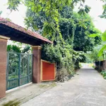 Bán đất Phường Nông Trang, Phú Thọ, 120m2, chưa 1 tỷ - Ảnh thu nhỏ 3