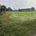 Bán đất Đức Lập, Đức Hòa, Long An 1164m2 - Ảnh thu nhỏ 1