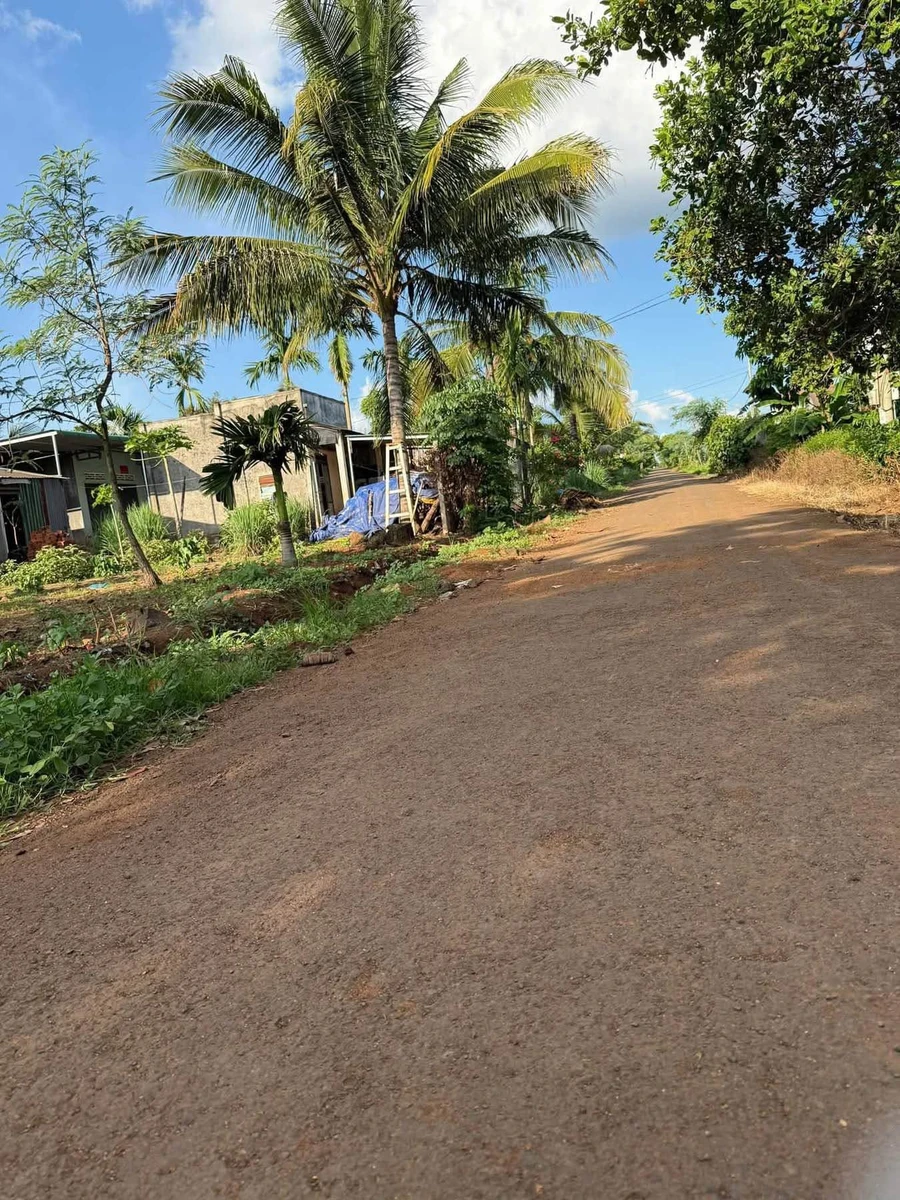 Bán đất Thôn 5 Eabar Hóc Môn 300m² 559 triệu - Ảnh 1