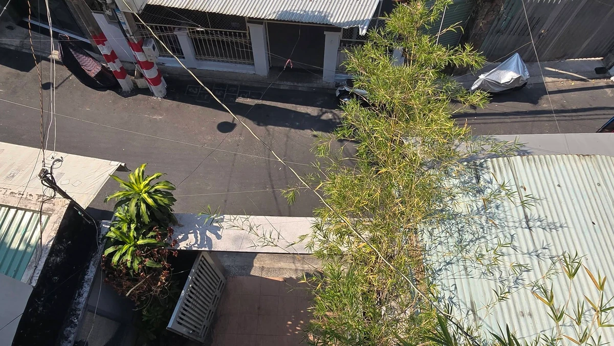 Bán biệt thự 133m² 4PN tại Phạm Văn Hai, Tân Bình – 20.6 tỷ - Ảnh thu nhỏ 3