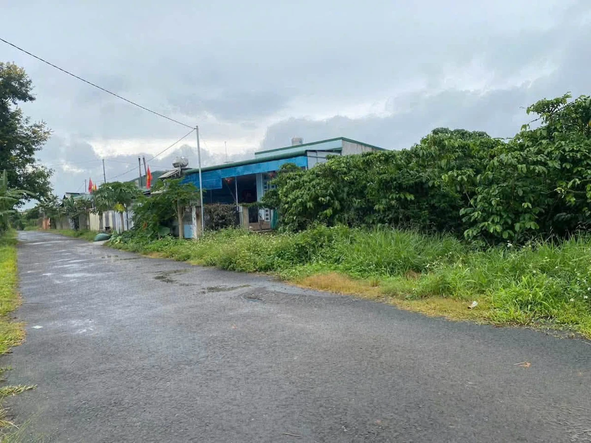 Bán đất tứ quý Lộc An 371m² chỉ 1,35 tỷ - Ảnh thu nhỏ 2