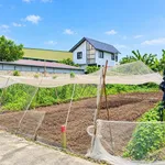 Bán đất biệt thự 8x37m, 239m² Ngô Quyền gần Chợ Hóc Môn, nhỉnh 5 tỷ - Ảnh thu nhỏ 3