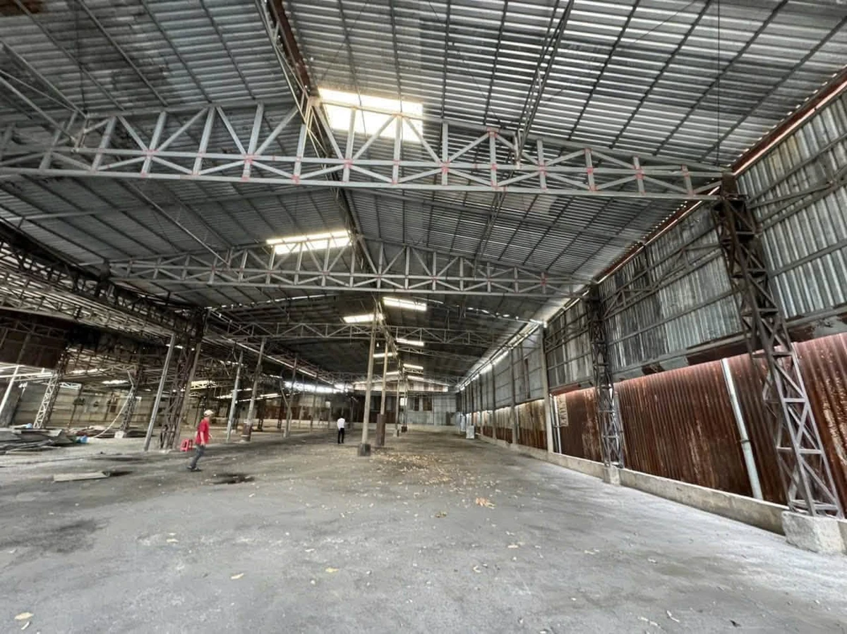 Bán đất 2.679m² mặt tiền Ba Lăng Xi, HCM, dòng tiền 65tr/tháng - Ảnh thu nhỏ 3