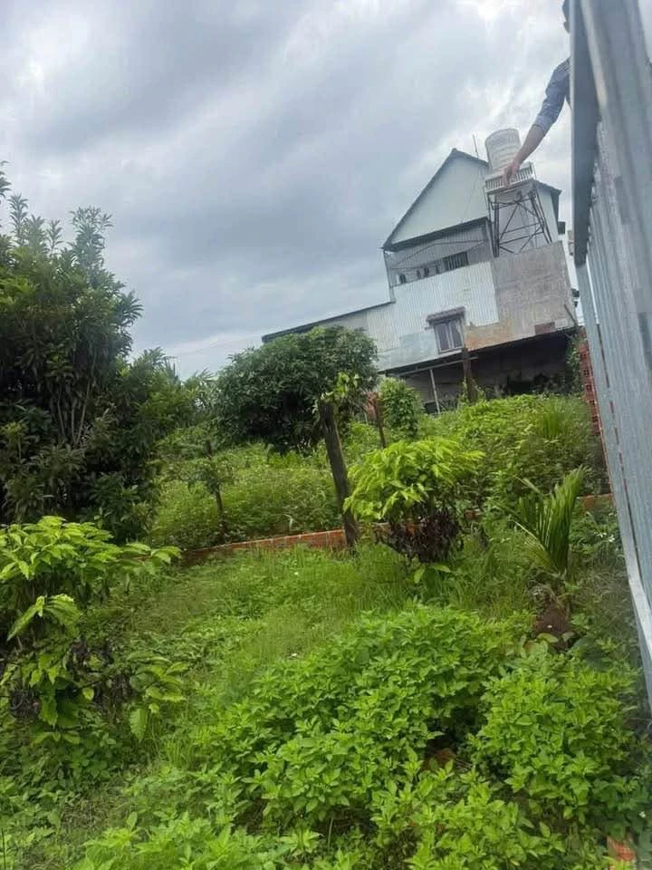 Bán đất thổ cư 130m2, mặt tiền 12,5m tại Khánh Hòa - Ảnh thu nhỏ 5