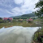 Bán khu đất kinh doanh 8.445m² tại Tà Nung, Đà Lạt, 17 tỷ - Ảnh thu nhỏ 3