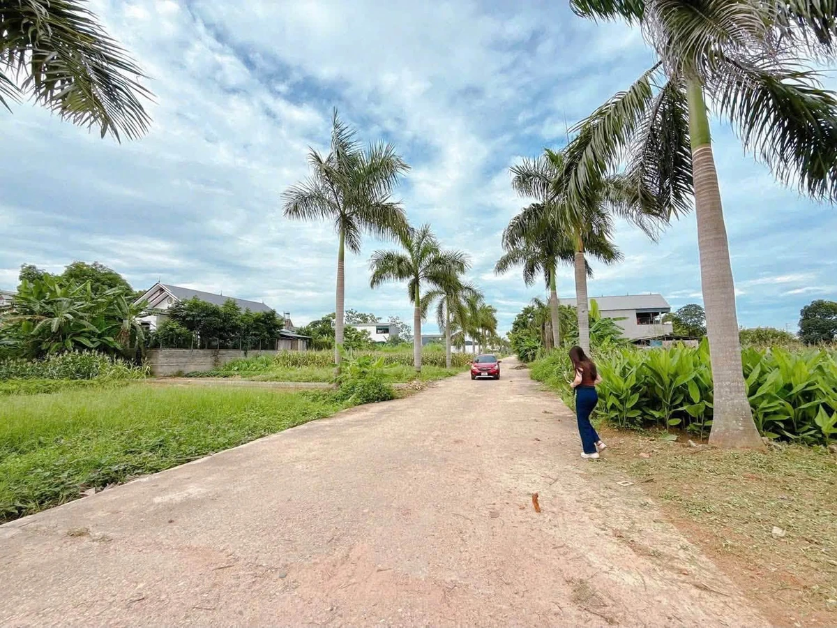 Bán đất 140m² Lâm Thao Phú Thọ 1.4 tỷ - Ảnh thu nhỏ 3