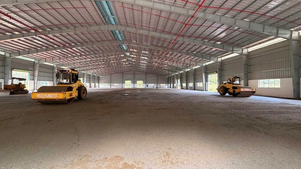 Bán hoặc cho thuê nhà xưởng 2ha đất 20.000m² tại Phú Giáo, Bình Dương - Ảnh thu nhỏ 2