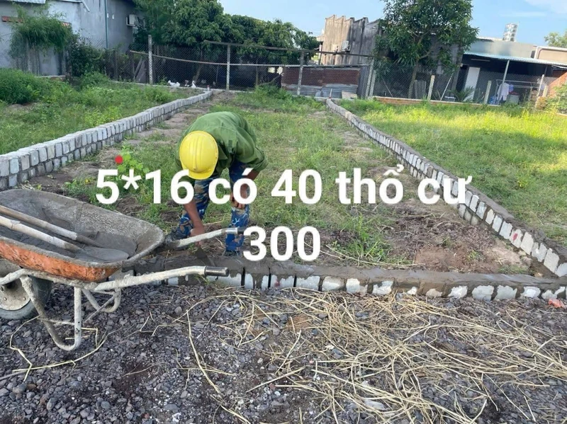 Bán 2 lô đất F0 Tam Phước Long Điền, có sổ, 300-380 triệu