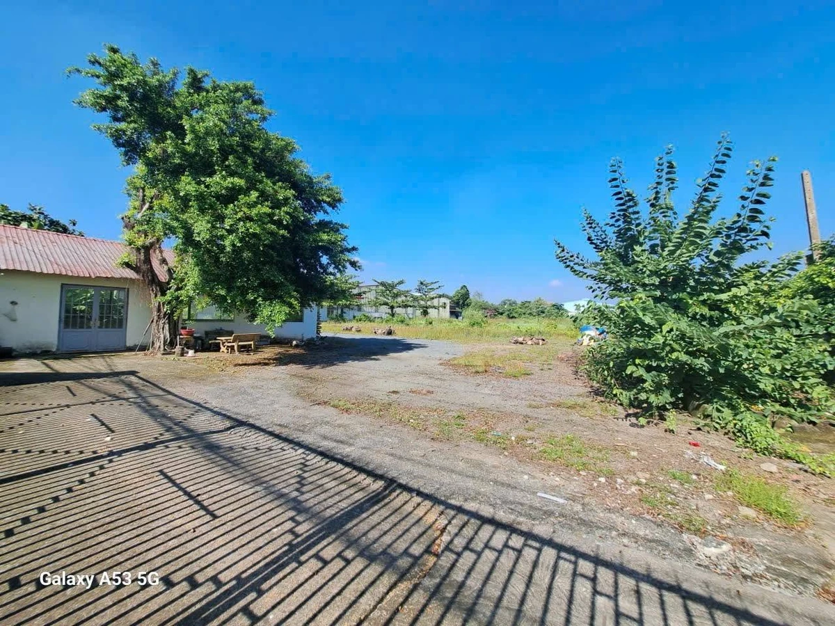 Bán đất xưởng 17.500m² Phường 5 Tân An - Ảnh thu nhỏ 2