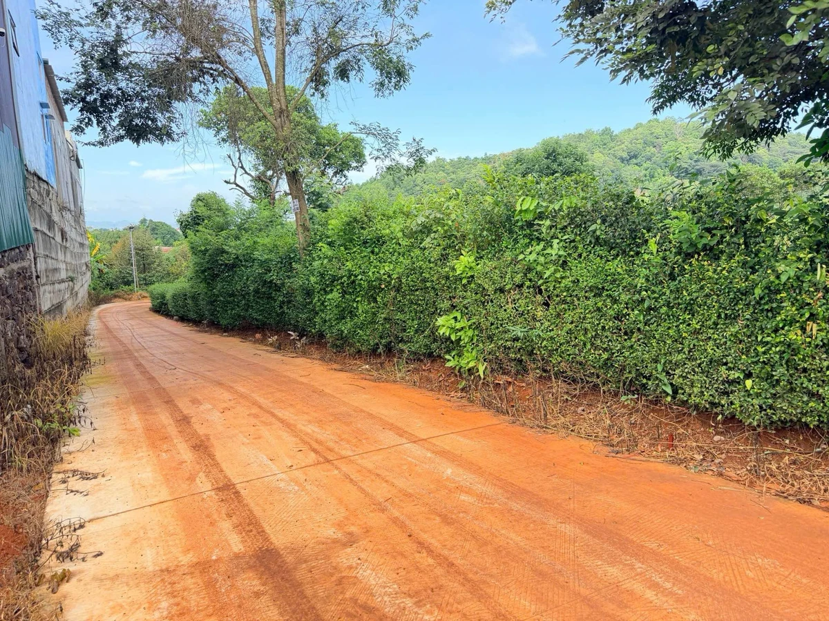 Bán đất hẻm Vành Đai 5x18m phường Ea Tam, giá 379 triệu - Ảnh thu nhỏ 2