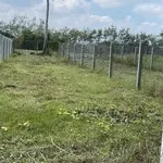 Bán đất nền 50m² Bình Minh Tây Ninh giá 199 triệu - Ảnh thu nhỏ 3