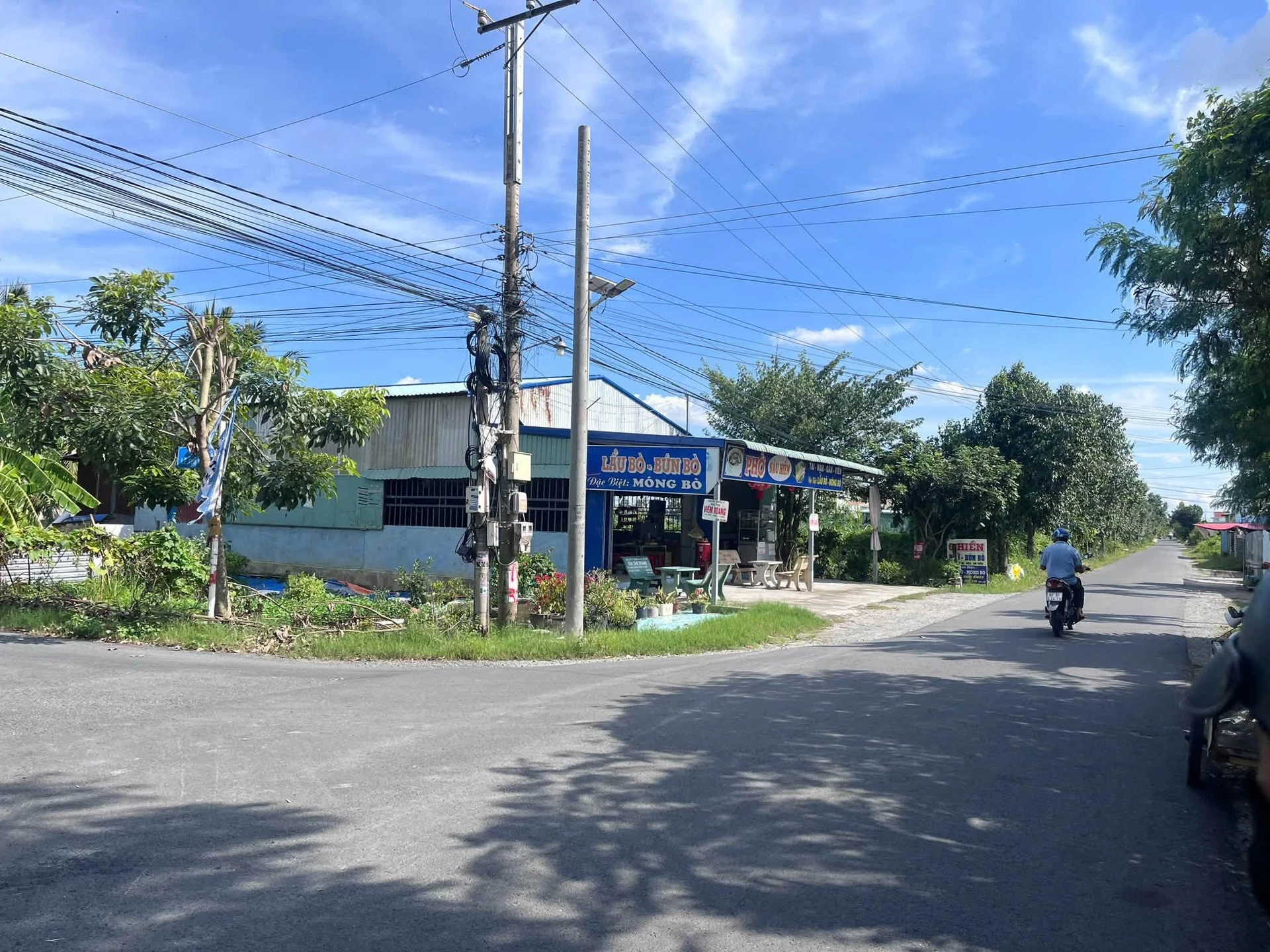 Bán đất mặt tiền Lê Thị Trâm 5x50m Long An 1 tỷ 6 - Ảnh 1