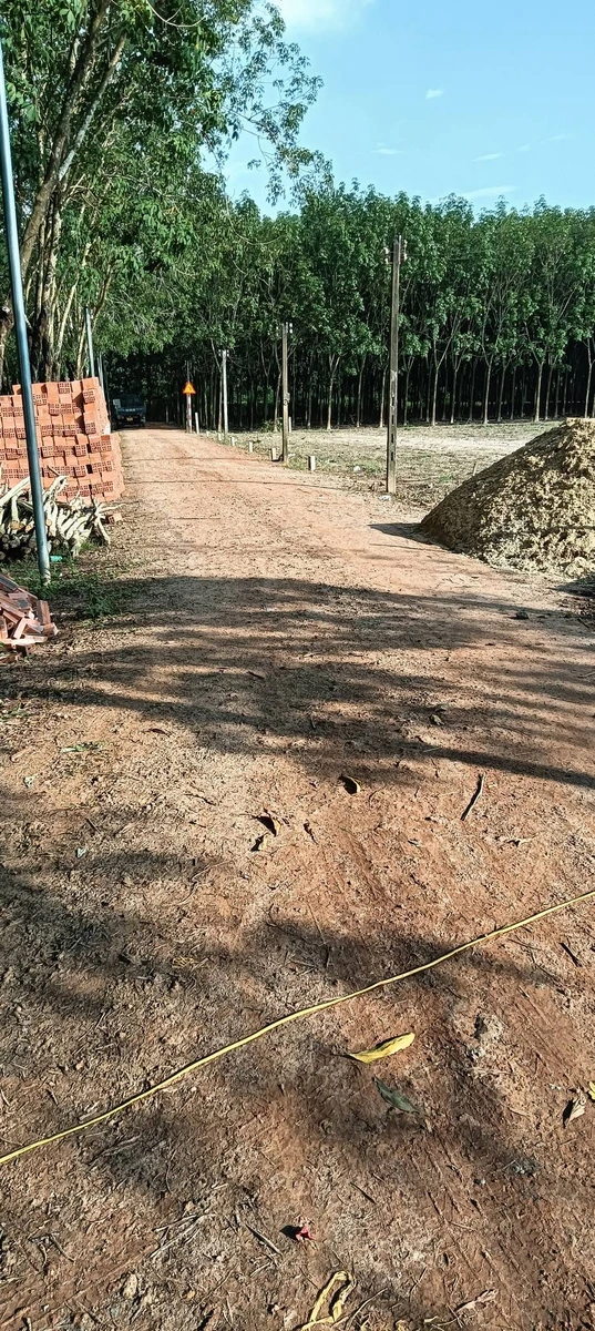 Bán đất thổ cư 50m2 giá 250 triệu tại Đồng Khởi, Châu Thành, Tây Ninh - Ảnh thu nhỏ 4
