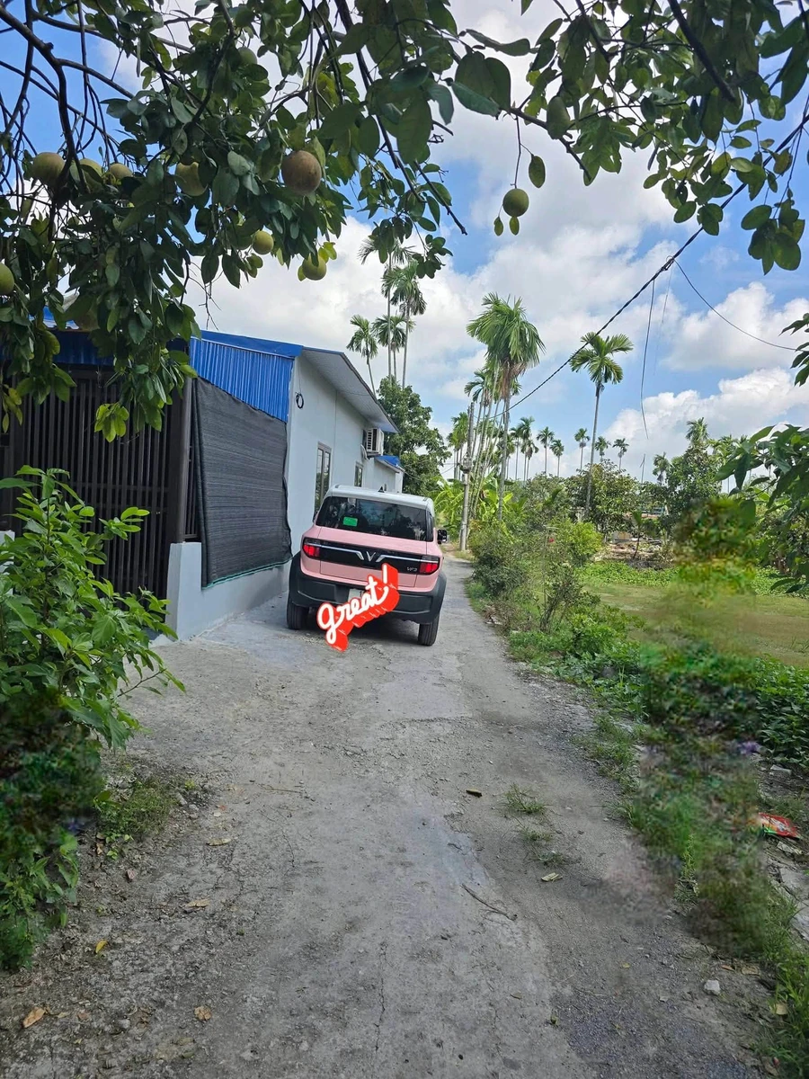 Bán 2500 m² đất 3 đường thông Hoa Động, Hải Phòng - Ảnh thu nhỏ 4