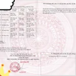 Bán 9 hecta đất nông nghiệp Quảng Ngãi - Ảnh thu nhỏ 3