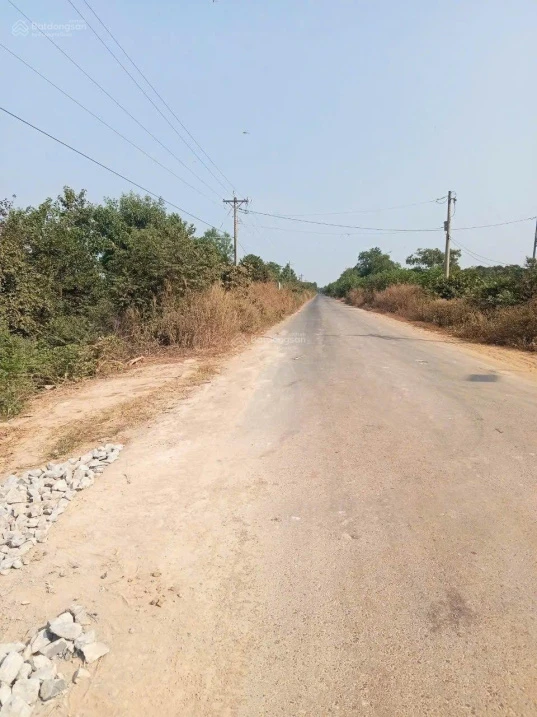 Tôi chính chủ cần bán gấp 10 hecta đất đen đường nhựa lớn giá 1,35tỷ/mẫu tại xã Ninh Điền TN - Ảnh 1