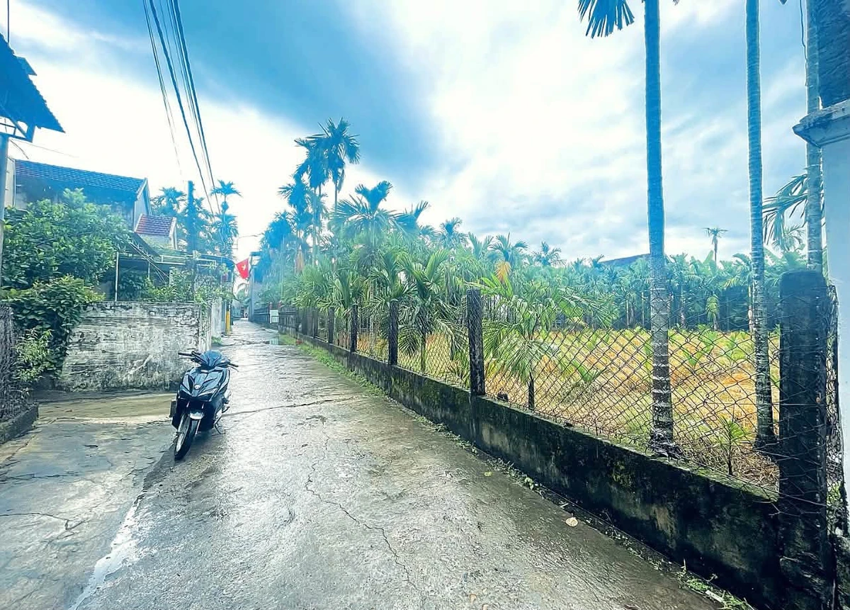 Bán lô đất 112.5m² Ba La, Nhà Bè - Ảnh 1