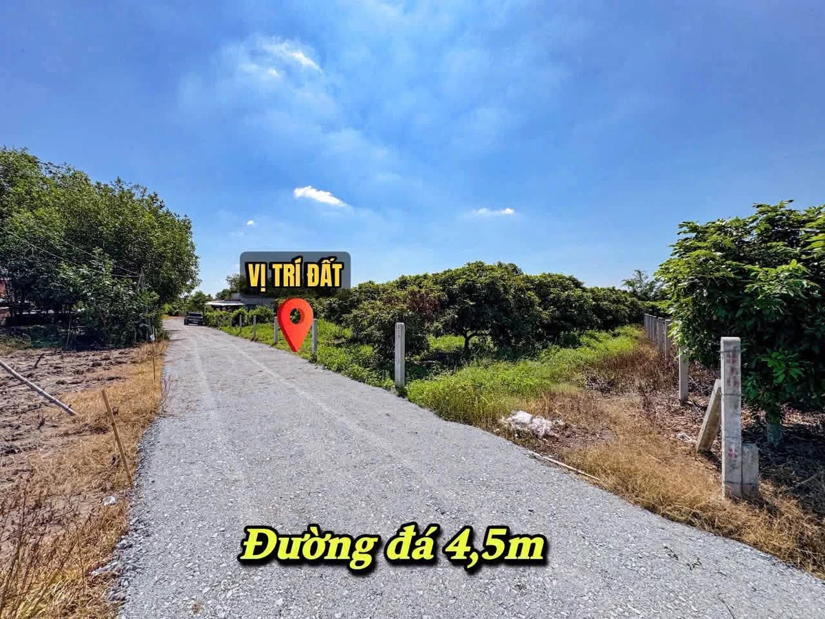 Bán đất thổ cư Tây Ninh 200m² 279 triệu - Ảnh thu nhỏ 2