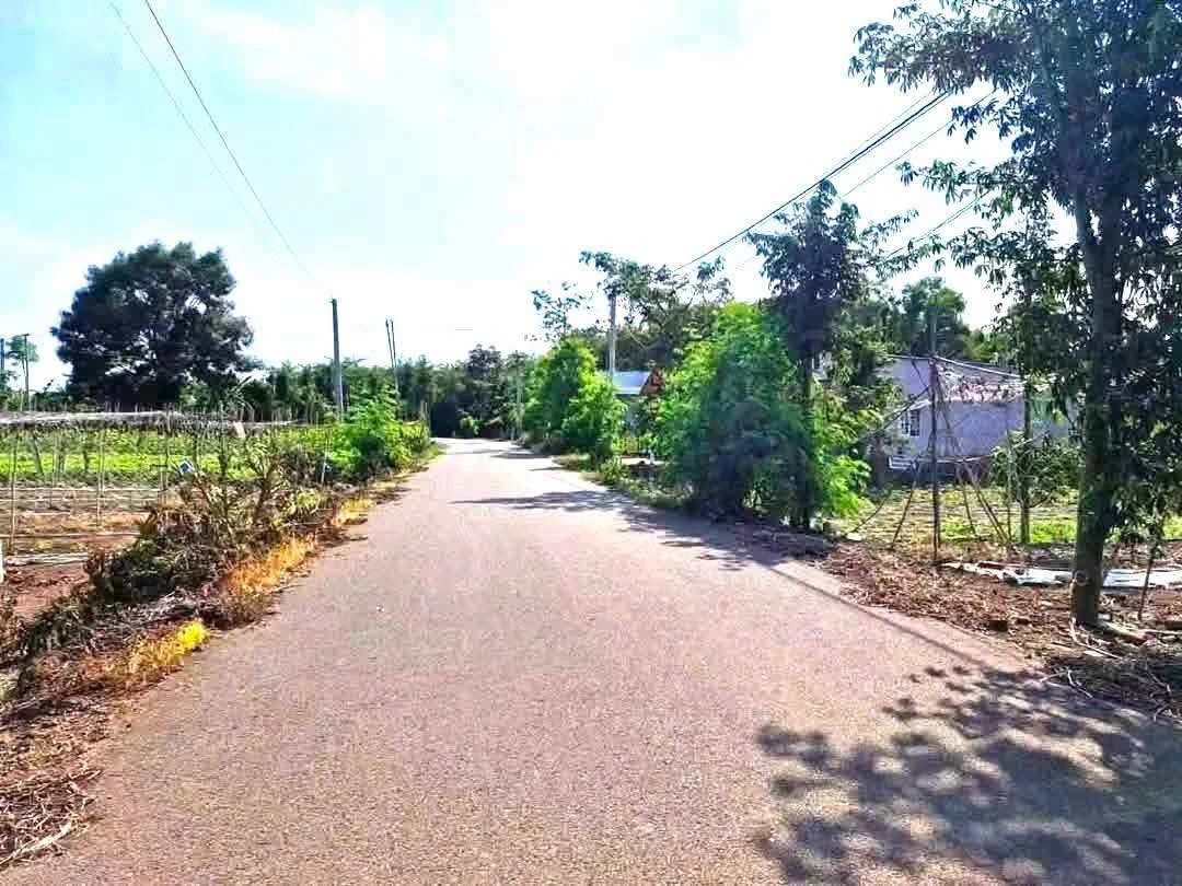 Bán đất xã Láng Cù 1000m² giá 1 tỷ 450 triệu - Ảnh 1