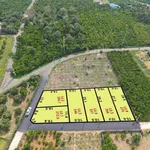 Bán đất 270m2 có 200m2 thổ cư mặt tiền đường nhựa giá 1,25 tỷ tại Bảo Lộc, Lâm Đồng - Ảnh thu nhỏ 1