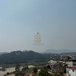 Bán đất hẻm ô tô Đường Bạch Đằng 205m² Lâm Đồng - Ảnh thu nhỏ 4