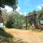 Bán đất Tánh Linh Bình Thuận 6820m² sổ đỏ 1 tỷ 400 - Ảnh thu nhỏ 3