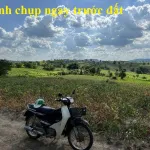 Bán 8 sào đất tại Ea Kar, tỉnh Đắk Lắk - Ảnh thu nhỏ 13