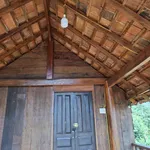 Bán đất rẫy 1,1ha cà phê sầu riêng Buôn Ma Thuột - Ảnh thu nhỏ 2
