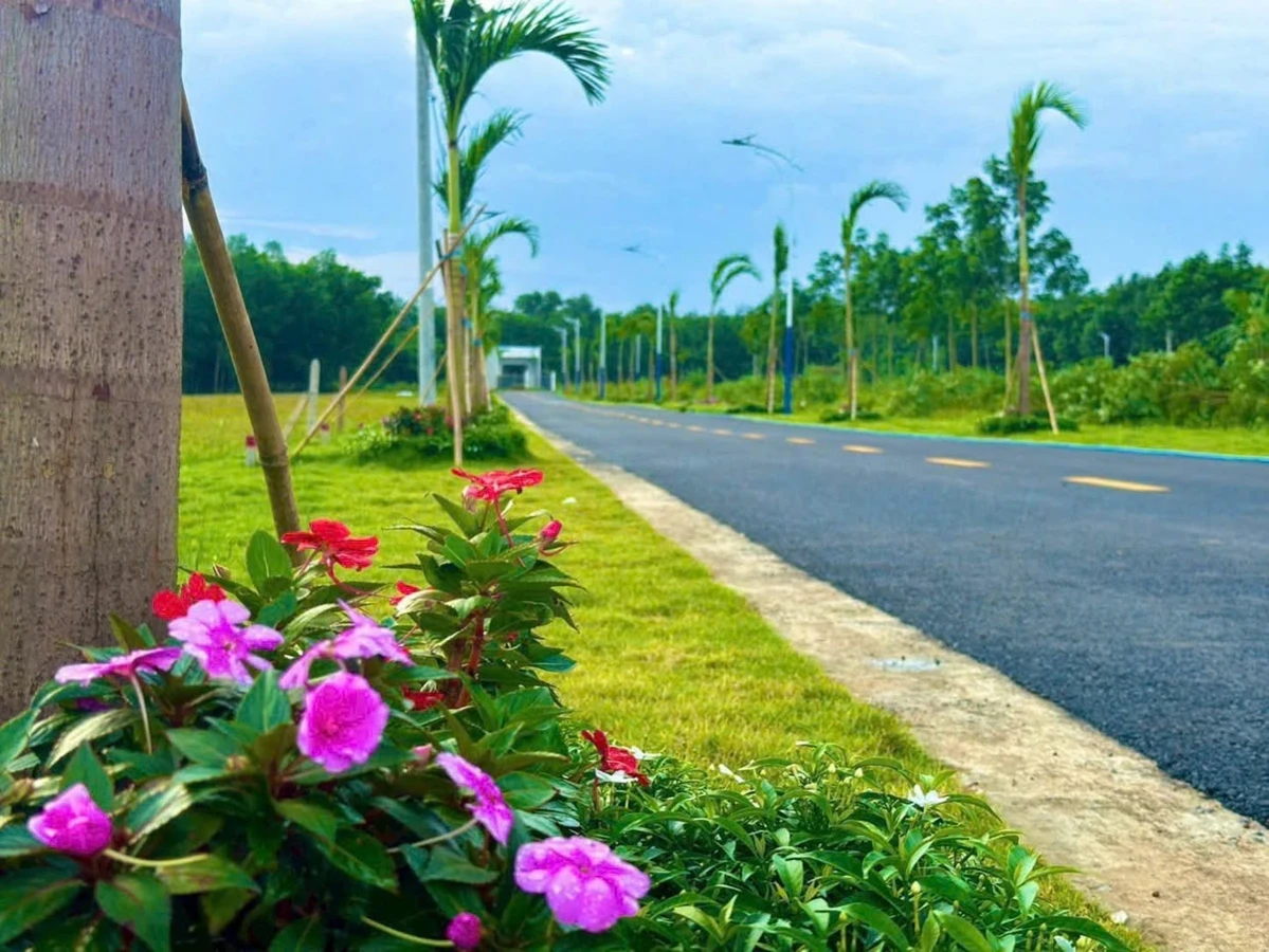 Bán đất nền 450m2 mặt tiền 10m tại ĐT 749A, Minh Thạnh, Dầu Tiếng, Bình Dương - Ảnh thu nhỏ 2