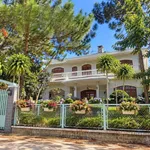 Bán villa Đà Lạt xưa 525m² Hùng Vương 23.5 tỷ - Ảnh thu nhỏ 1