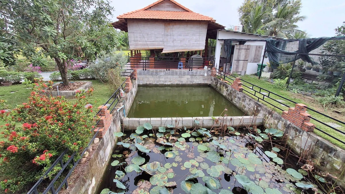 Bán villa sân vườn 2000m² Hàm Liêm, 4,2 tỷ - Ảnh thu nhỏ 3