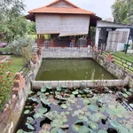 Bán villa sân vườn 2000m² Hàm Liêm, 4,2 tỷ - Ảnh thu nhỏ 3