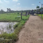 Bán đất 725,3m² có 150m² thổ cư mặt tiền đường Lê Văn Bụi, xã Vàm Cỏ, Tây Ninh - Ảnh thu nhỏ 2