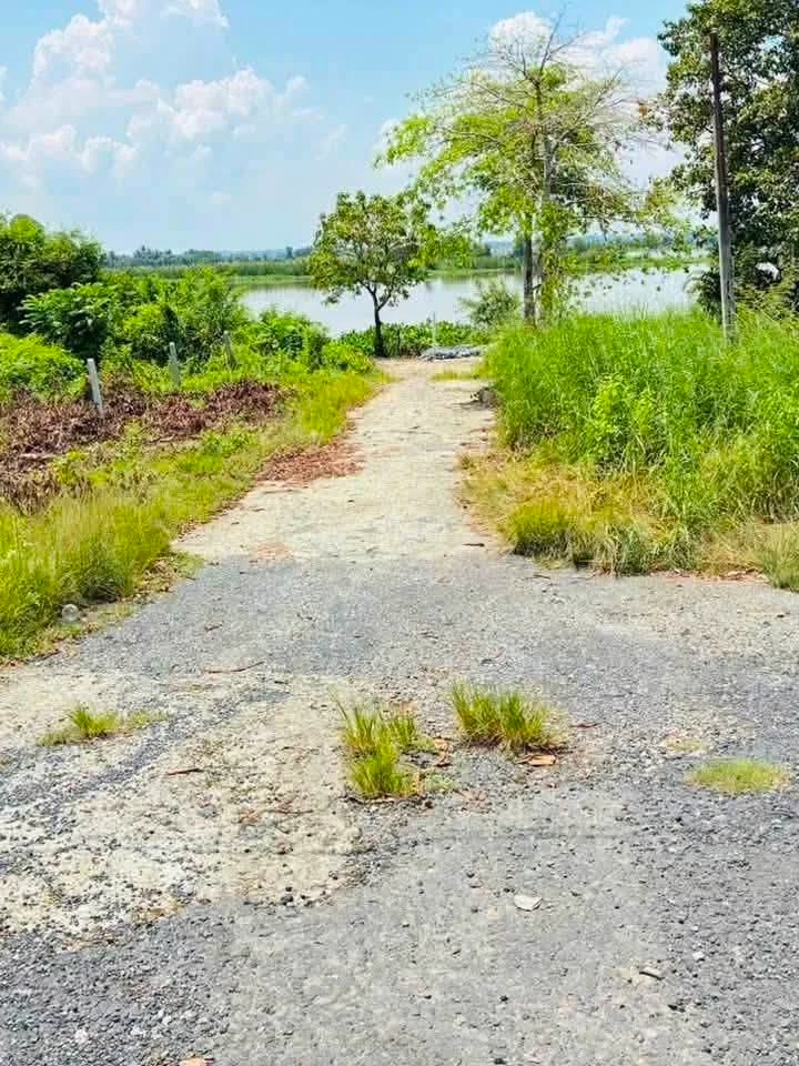 Bán đất Hòa Thành Tây Ninh 200m² - 1 tỷ 250 triệu - Ảnh thu nhỏ 3