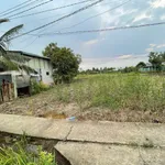 Bán 3 nền đất thổ cư 100m² tại Phước Vân, Cần Đước, Long An - Ảnh thu nhỏ 2