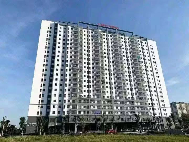 Bán chung cư Ruby 66 m2 góc 2.6 tỷ - Ảnh 1