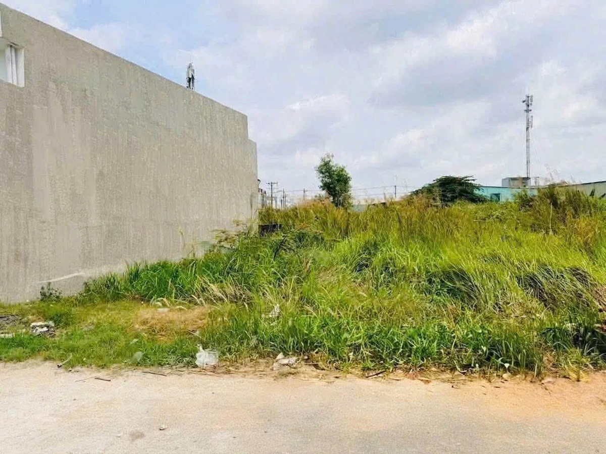 Bán 2 lô đất liền kề 100 m² Bến Lức Long An - Ảnh thu nhỏ 3