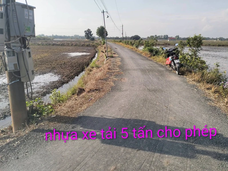 Bán 5665 m² đất lúa An Hòa 1, Mỹ Thạnh, Thủ Thừa