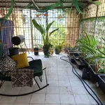 Cho thuê phòng homestay 52m² Tôn Đức Thắng, Hà Nội - Ảnh thu nhỏ 4