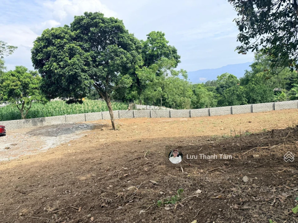 Bán gấp 2.000m2 có 200m2 thổ cư 2 mặt tiền chạy quanh đất - Ảnh thu nhỏ 2