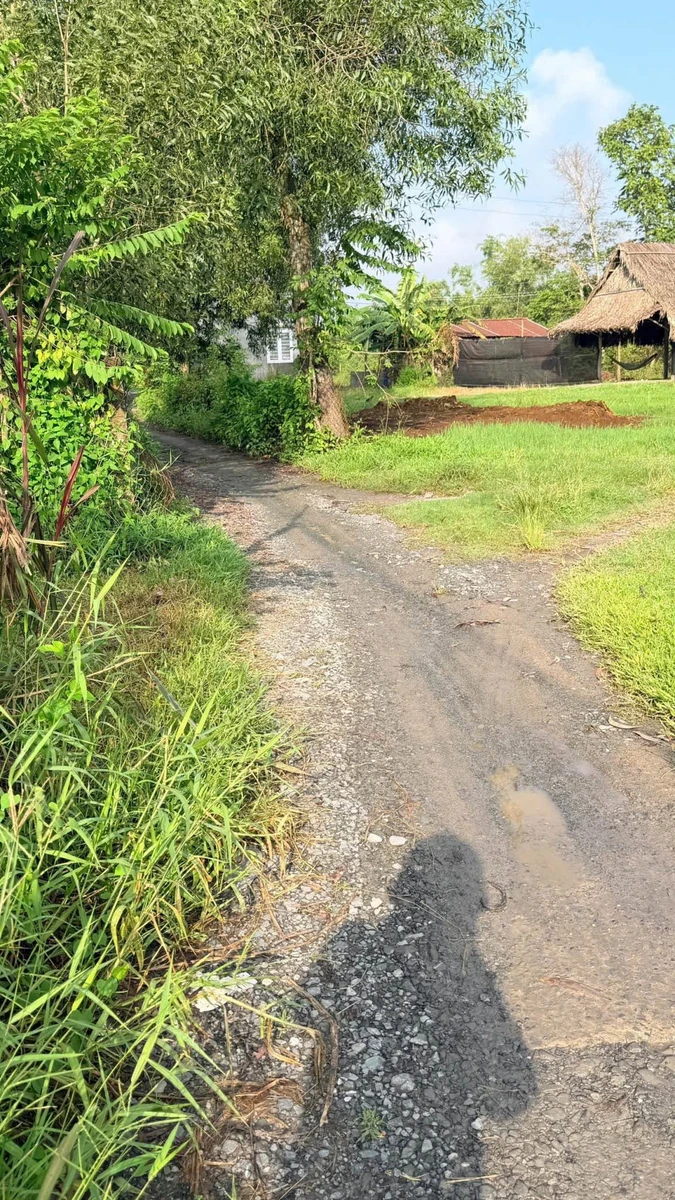 Bán đất Mỹ Hạnh Đức Hòa 1.260m² 1,5 tỷ - Ảnh thu nhỏ 3