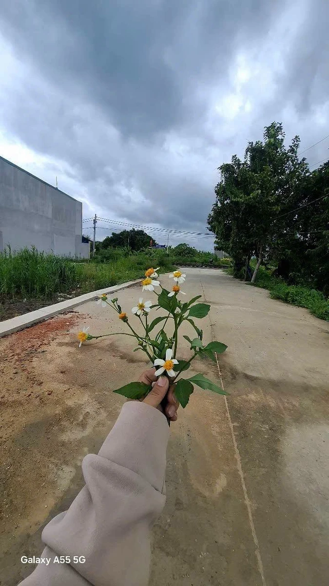 Bán lô đất SHR Xã Bình Mỹ Củ Chi 87m2, 2 tỷ 350 triệu - Ảnh thu nhỏ 3