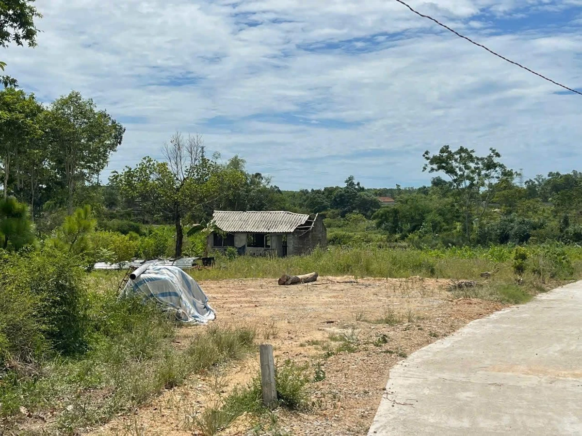Bán đất kiệt 1.000m² (300m² thổ cư) Nguyễn Viết Xuân, Huế - Ảnh thu nhỏ 4