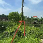 Bán đất 200m² Đông Thạnh giá 900 triệu - Ảnh thu nhỏ 4