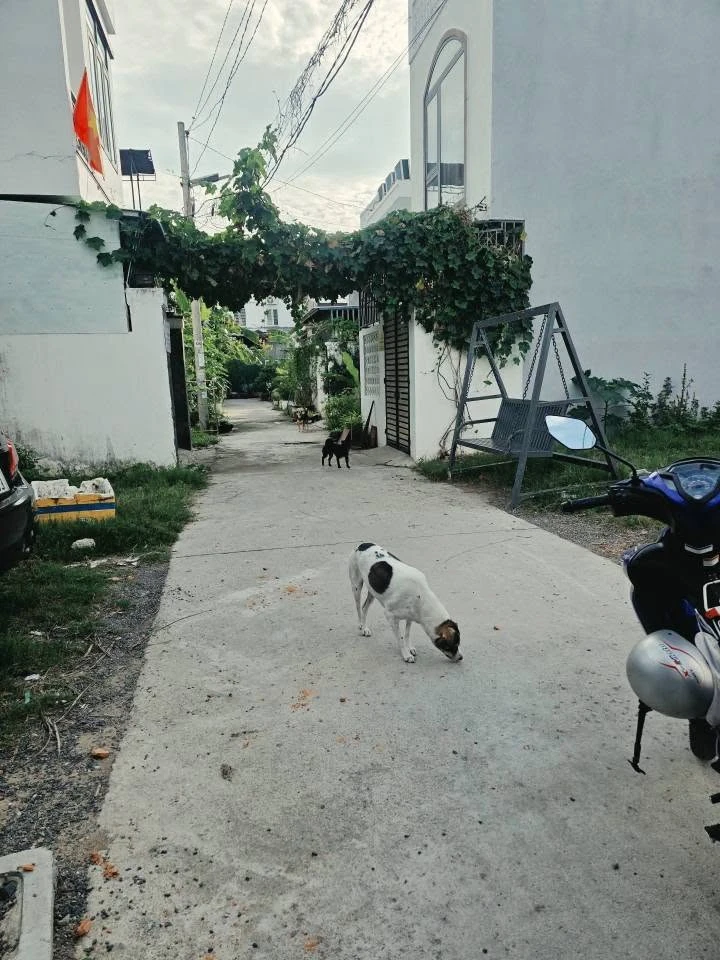 Bán đất hẻm xe hơi Hà Thanh Nha Trang 52.4m2 - 2 tỷ 290 triệu - Ảnh thu nhỏ 5