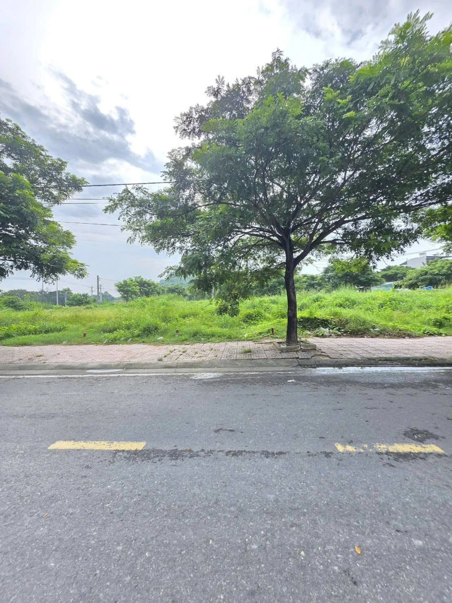 Bán đất 2 mặt tiền 100m2 Thủ Đức 4,7 tỷ - Ảnh thu nhỏ 4